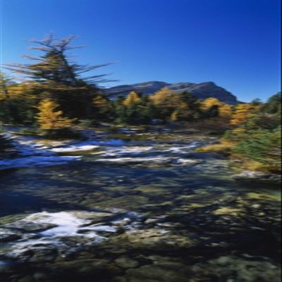 Posterazzi Stream flowing in a forest Mount Assiniboine Provincial Park border of Alberta and British Columbia Canada Poster Print, (18 x 6)