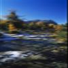 Posterazzi Stream flowing in a forest Mount Assiniboine Provincial Park border of Alberta and British Columbia Canada Poster Print, (18 x 6) view 1
