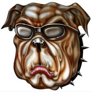 18" bulldog sunglasses r MAGNET Vinyl Car Fridge Sticks to any Metal Surface