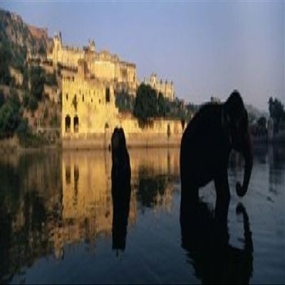Posterazzi Silhouette of two elephants in a river Amber Fort Jaipur Rajasthan India Poster Print, (18 x 7)