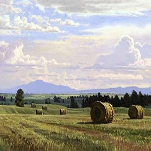 Posterazzi Fresh Cut Hay Poster Print by Jay Moore, (11 x 14)