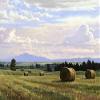 Posterazzi Fresh Cut Hay Poster Print by Jay Moore, (11 x 14) view 1