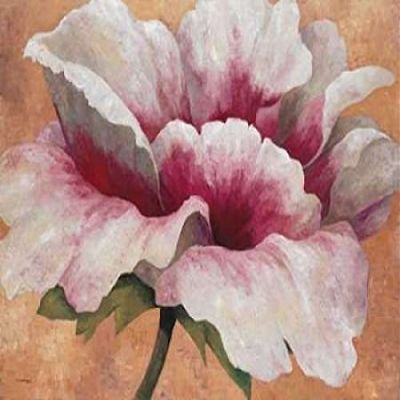Posterazzi Pink Begonia Poster Print by Maria Torrontegui, (22 x 28)