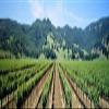 Posterazzi Napa Valley Vineyards Hopland CA Poster Print, (38 x 12) view 1