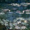 Posterazzi Nympheas Water Lilies-Detail Claude Monet (1840-1926/French) Poster Print, (24 x 36) view 1