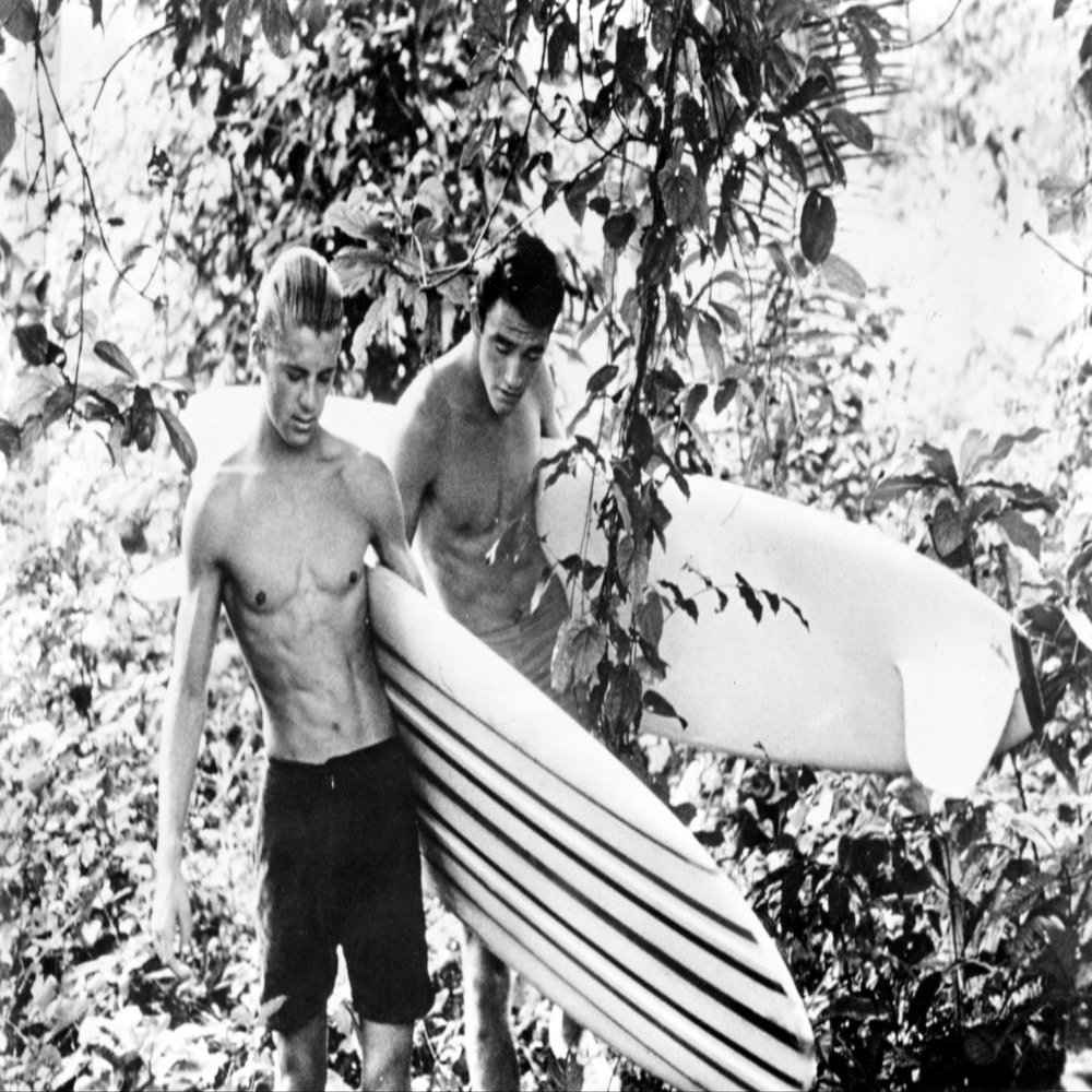 Endless Summer Mike Hyndson Robert August 1966 Photo Print (28 x 22)