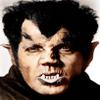 Werewolf Of London Henry Hull 1935 Photo Print (16 x 20) view 1