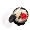 Restaurantware 5 x 1.2 Inch Shovel Spoons 100 Disposable Mini Plastic Spoons - Durable For Flower Pot Cups Black And White Plastic Tasting Spoons For Parties Or Events view 1