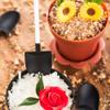 Restaurantware 5 x 1.2 Inch Shovel Spoons 100 Disposable Mini Plastic Spoons - Durable For Flower Pot Cups Black And White Plastic Tasting Spoons For Parties Or Events view 3