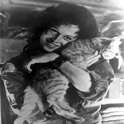 Posterazzi Sigourney Weaver Carrying Cat in Classic Photo Poster Print, (8 x 10)