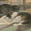 Posterazzi 1903 Cats on book Poster Print by Elizabeth Bonsall, (18 x 24) view 1