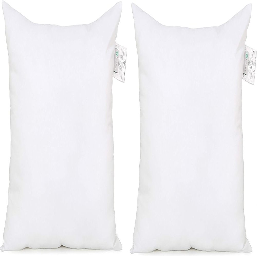 Acanva Down Alternative Throw Pillow Inserts, Hypoallergenic Square Soft Form Stuffer Decorative Cushion Sham Filler, 22x22, White, Set of 2