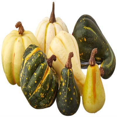 Darice Pumpkin Sm Fall