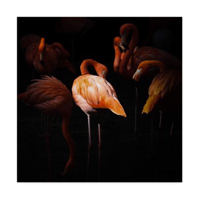 Trademark Fine Art Where I Stood by Andreas Krinke, 18x18-Inch,