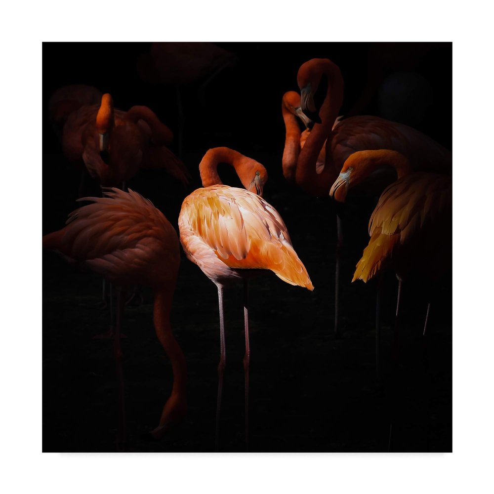 Trademark Fine Art Where I Stood by Andreas Krinke, 18x18-Inch,