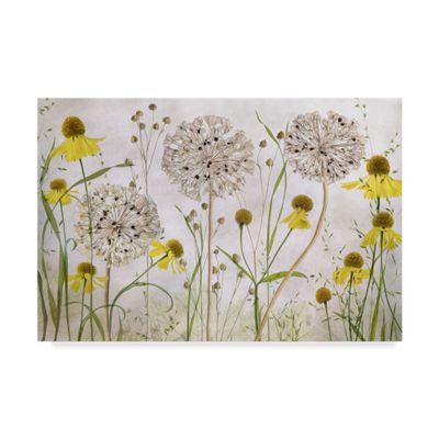 Trademark Fine Art Alliums and Heleniums by Mandy Disher, 16x24-Inch,