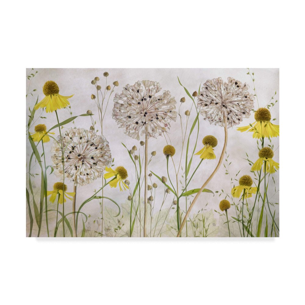 Trademark Fine Art Alliums and Heleniums by Mandy Disher, 16x24-Inch,