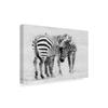 Trademark Fine Art Tender Moment Zebras by John Fan, 16x24-Inch, view 2