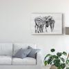 Trademark Fine Art Tender Moment Zebras by John Fan, 16x24-Inch, view 3