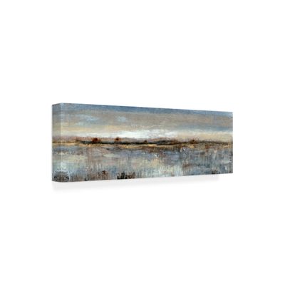 Wrapped Canvas Wall Art - Tim Otoole 'Grey Mist Ii' Wall Art for Living Room, Bedroom, or Office Dcor - 10x32