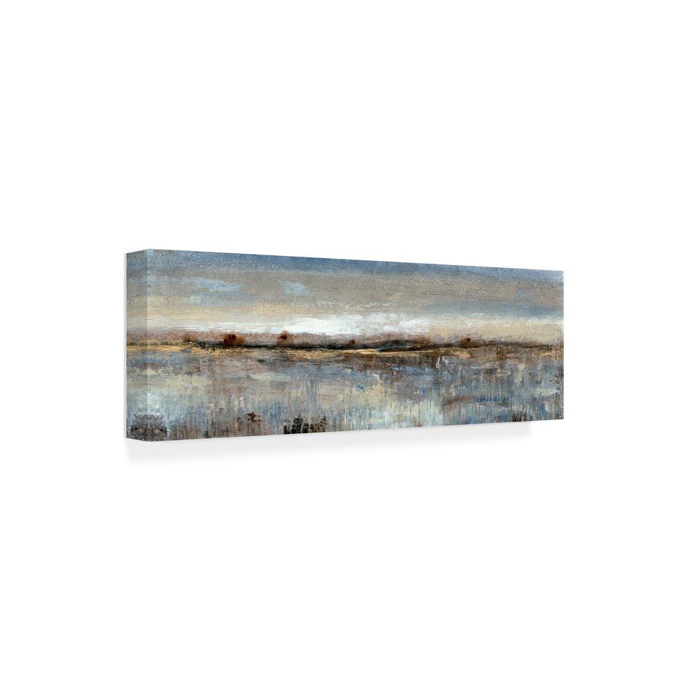 Wrapped Canvas Wall Art - Tim Otoole 'Grey Mist Ii' Wall Art for Living Room, Bedroom, or Office Dcor - 10x32