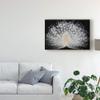 Trademark Fine Art White Peacock Portrait by Pino Liddi, 16x24-Inch, view 3