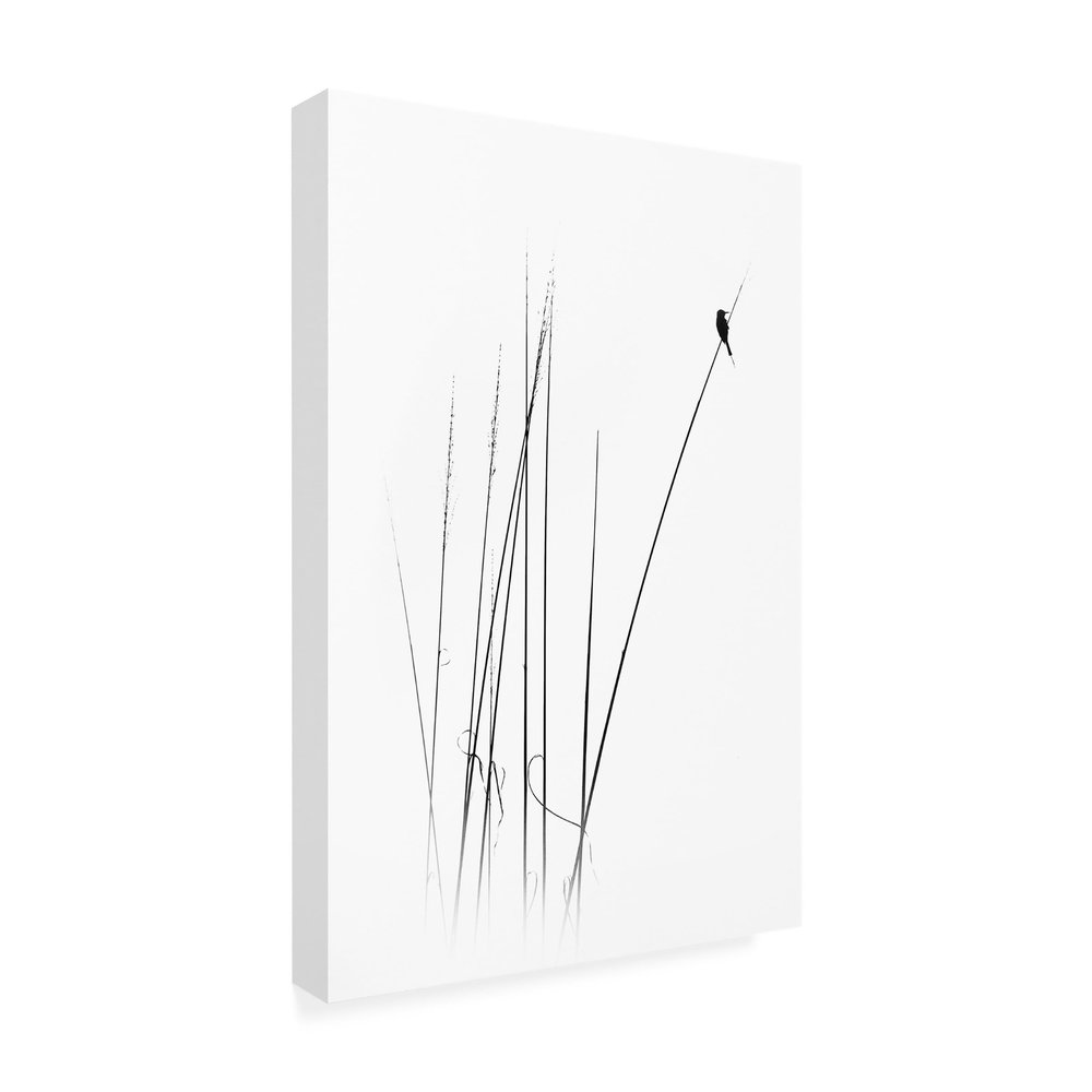 Wrapped Canvas Wall Art - Swapnil 'A Sabbatical' Wall Art for Living Room, Bedroom, or Office Dcor - 16x24