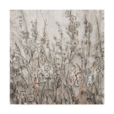Trademark Fine Art Shadows I by Tim Otoole, 18x18-Inch,