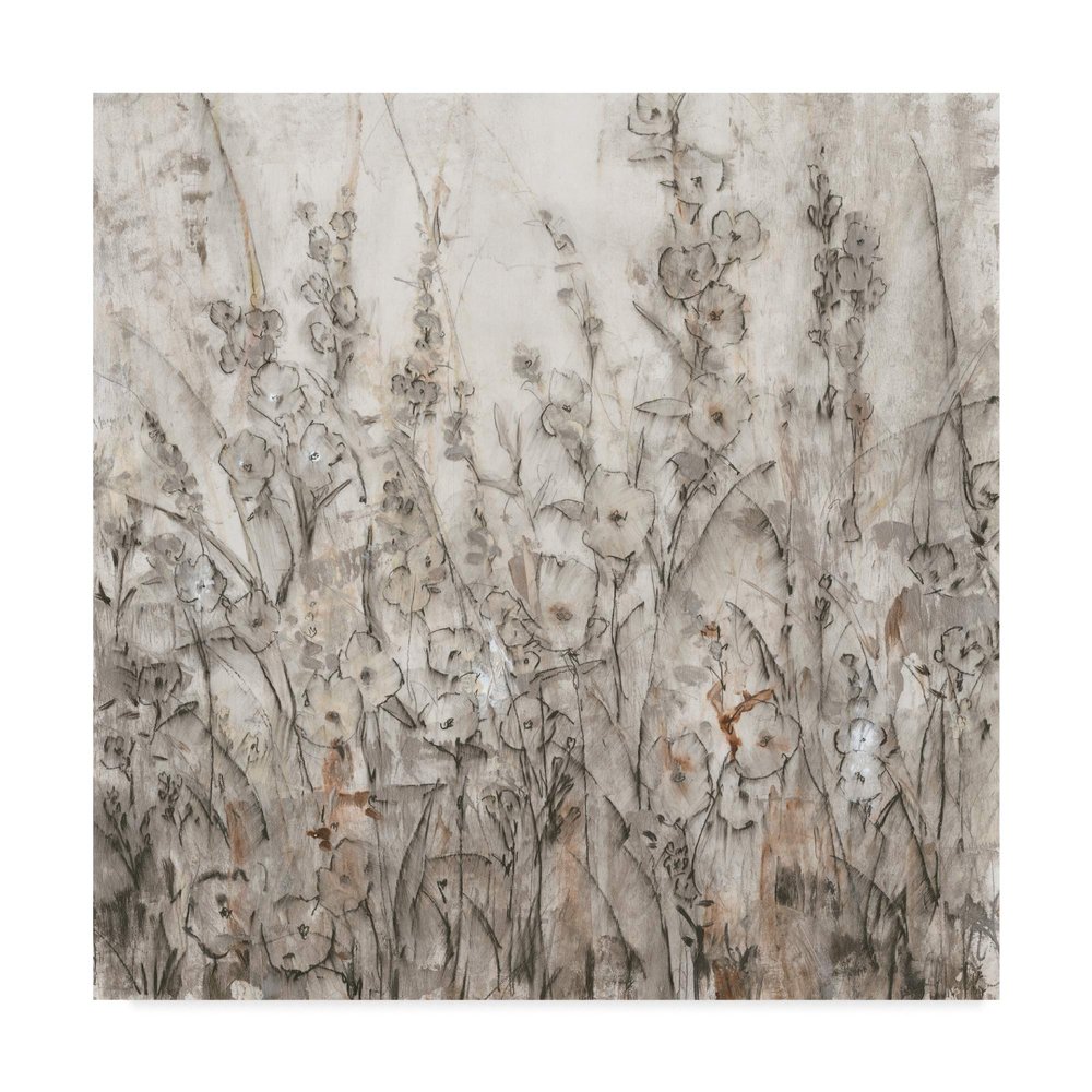 Trademark Fine Art Shadows I by Tim Otoole, 18x18-Inch,