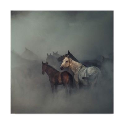 Trademark Fine Art The Lost Horses by Huseyin Task?n, 18x18-Inch,