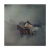 Trademark Fine Art The Lost Horses by Huseyin Task?n, 18x18-Inch, view 1