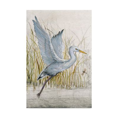 Trademark Fine Art Heron Sanctuary I by Tim Otoole, 16x24-Inch,