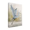 Trademark Fine Art Heron Sanctuary I by Tim Otoole, 16x24-Inch, view 2