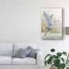 Trademark Fine Art Heron Sanctuary I by Tim Otoole, 16x24-Inch, view 3
