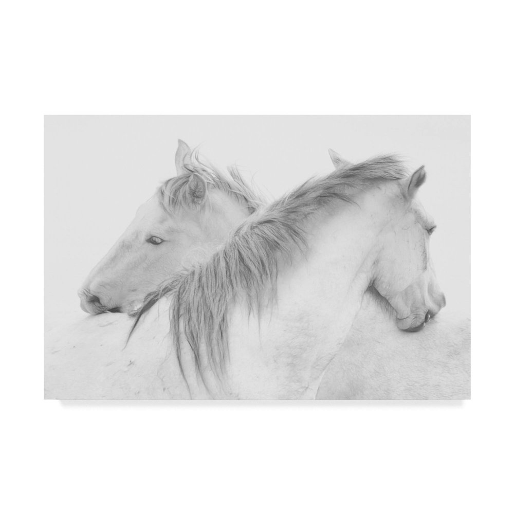 Trademark Fine Art Canvas Wall Art - Marie Anne Stas 'Two White Horses' Wall Art for Living Room, Bedroom, or Office Dcor