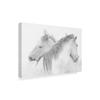 Trademark Fine Art Canvas Wall Art - Marie Anne Stas 'Two White Horses' Wall Art for Living Room, Bedroom, or Office Dcor view 2