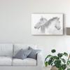 Trademark Fine Art Canvas Wall Art - Marie Anne Stas 'Two White Horses' Wall Art for Living Room, Bedroom, or Office Dcor view 3