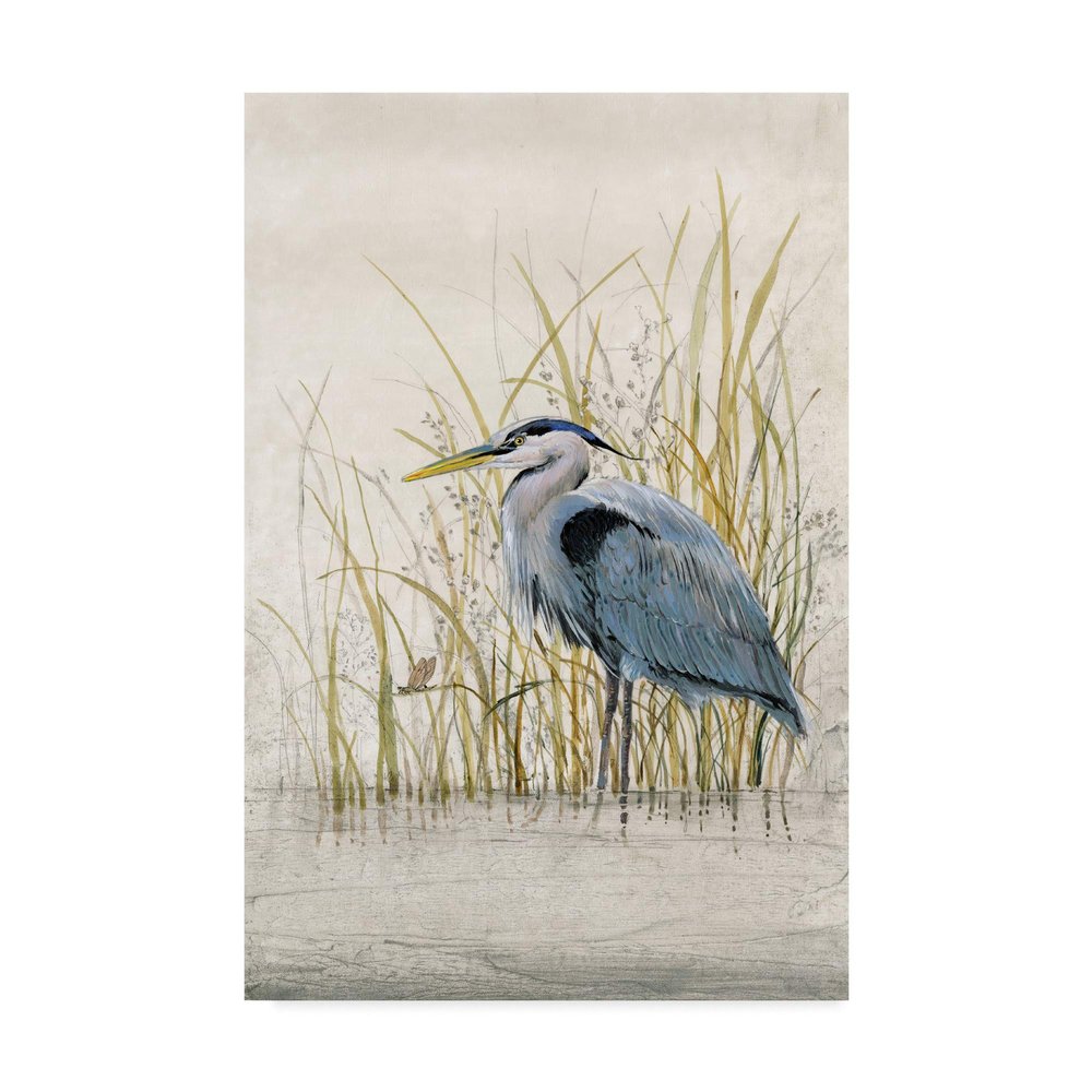 Trademark Fine Art Heron Sanctuary II by Tim Otoole, 16x24-Inch,