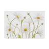 Trademark Fine Art Ox Eye Daisies by Mandy Disher, 16x24-Inch, view 1