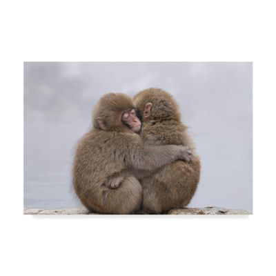Trademark Fine Art Forever Monkey Friends by Takeshi Marumoto, 16x24-Inch,