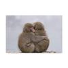 Trademark Fine Art Forever Monkey Friends by Takeshi Marumoto, 16x24-Inch, view 1