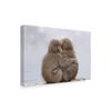 Trademark Fine Art Forever Monkey Friends by Takeshi Marumoto, 16x24-Inch, view 2