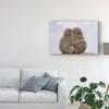 Trademark Fine Art Forever Monkey Friends by Takeshi Marumoto, 16x24-Inch, view 3