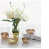 TELLW Nordic Feng Shui Culture vase Simple Gold Vase Water Cup Home Ornament Metal Glass vase view 2