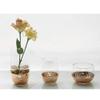 TELLW Nordic Feng Shui Culture vase Simple Gold Vase Water Cup Home Ornament Metal Glass vase view 3