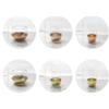TELLW Nordic Feng Shui Culture vase Simple Gold Vase Water Cup Home Ornament Metal Glass vase view 4