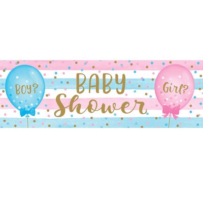 Creative Converting 336687 Gender Reveal Baby Shower Giant Party Banner, 1ct, 0.01x60x20inc, Multicolor