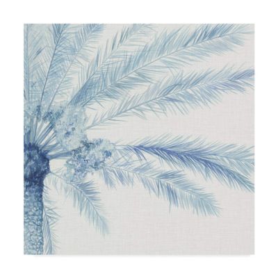 Trademark Fine Art Chambray Palms II by Megan Meagher, 18x18-Inch,