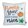 Apolena Fall Season Thanksgiving Halloween Decorative Throw Pillow Case, 18x18, Set of 04, Pumpkin Spice view 4