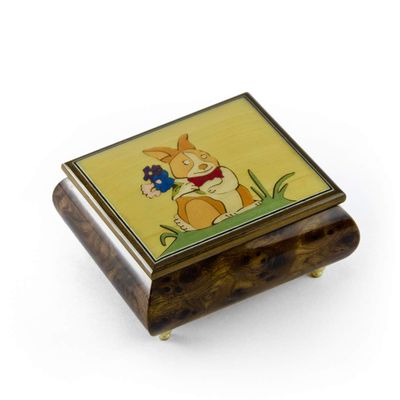 Bunny Boy Astonishing Music Jewelry Box - Many Songs to Choose - Carousel Waltz